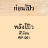 วูดเทค วูดฟิลเลอร์ (อุดโป๊วไม้ อะครีลิค สูตรน้ำ) - Image 4