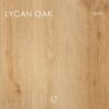 LYCAN OAK 18178