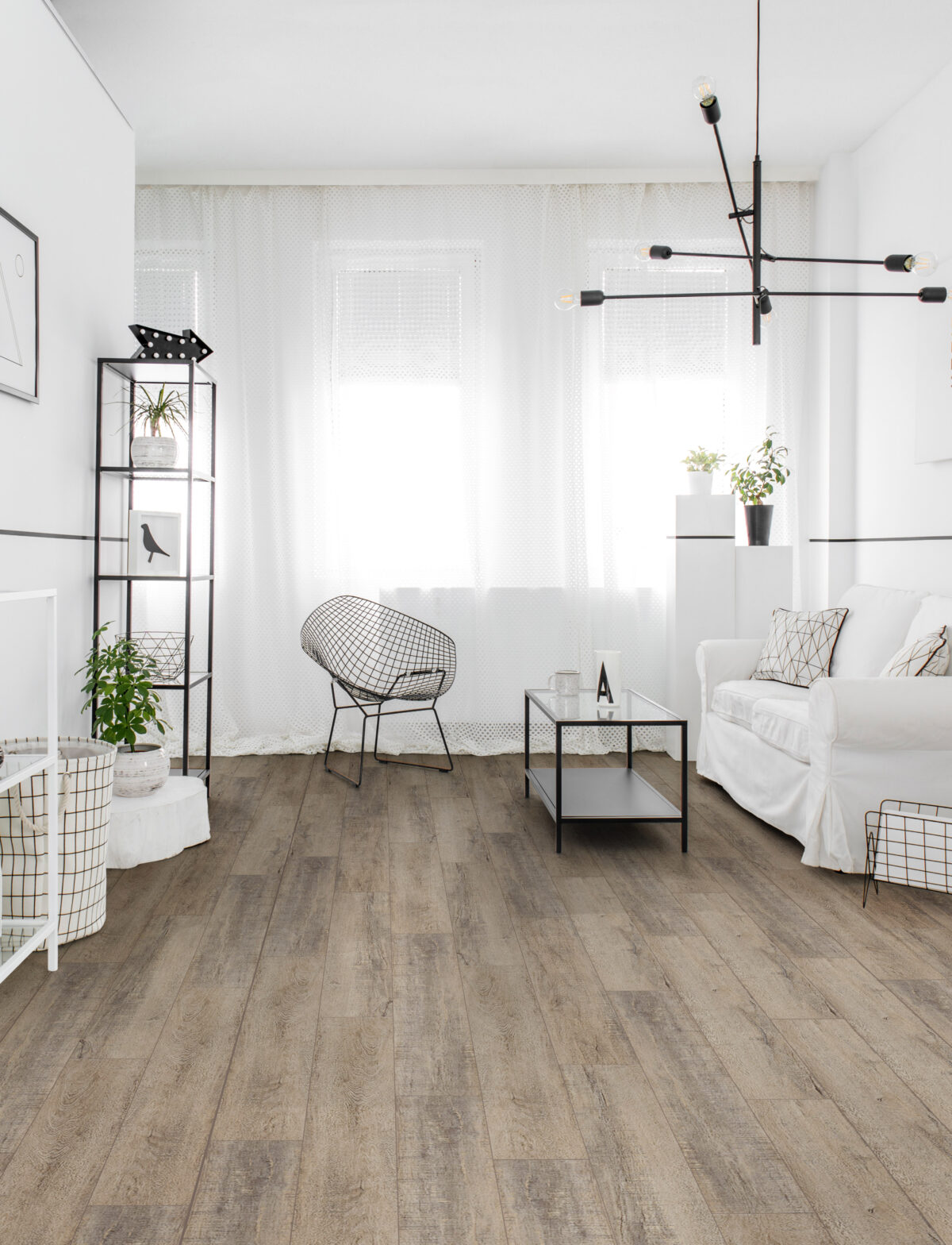 LYPAS OAK 18227 - Image 2